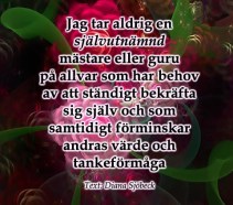 Självutnämnd mästare