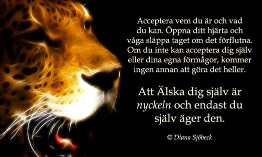 Acceptera vem du är