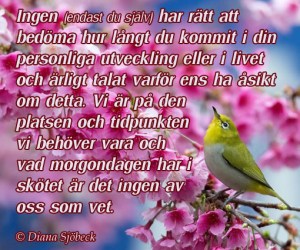 Andligt uppvaknande med Diana Sjöbeck