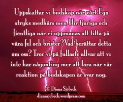 Uppskattar vi budskap